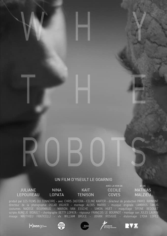 Why the Robots